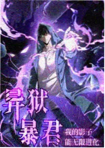 夜航西飞 动漫海报